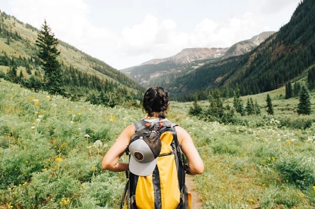 Hiker with a backpack in a lush green valley